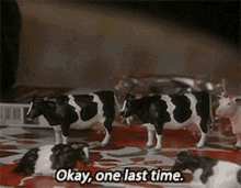 father-ted-cows.gif.173f6d04152c726776190e8de96765b8.gif